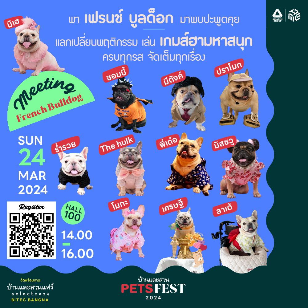 07_pets_fest_2024__meeting_dachshund_.jpg