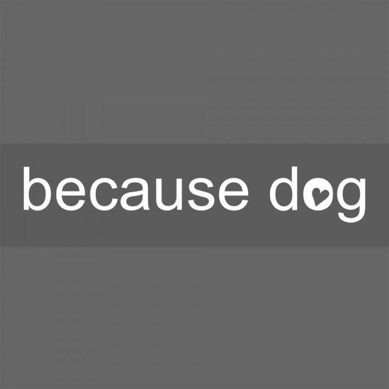 ร้าน because dog