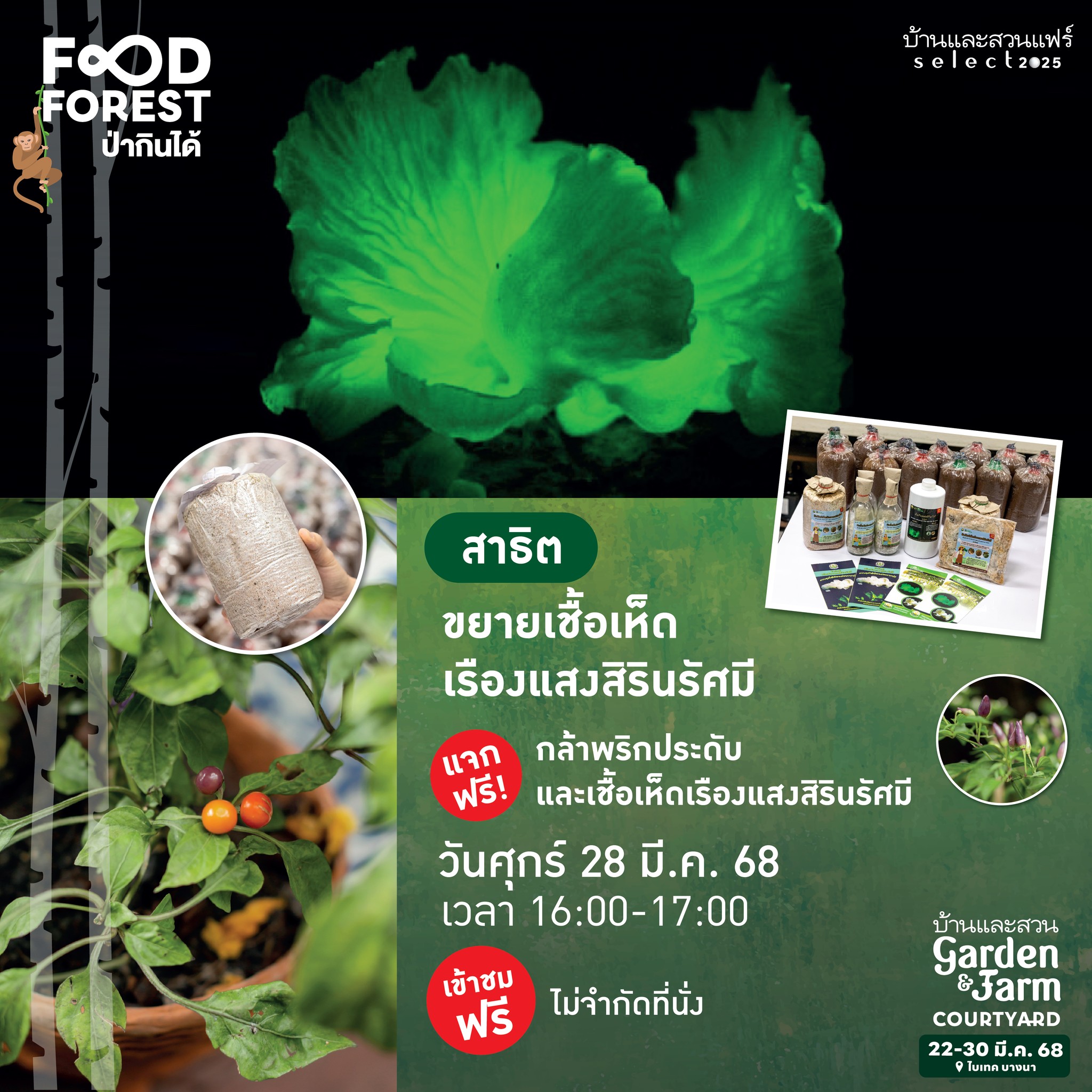 484828591_1183170733818882_4118612414033666476_n.jpg