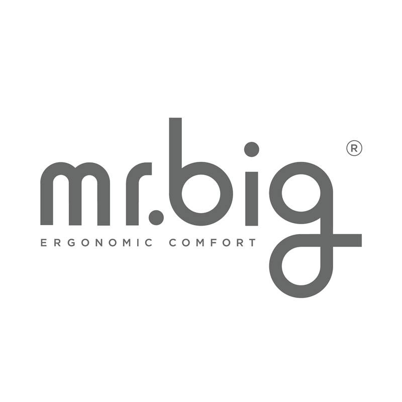 MR.BIG PILLOW-thumb
