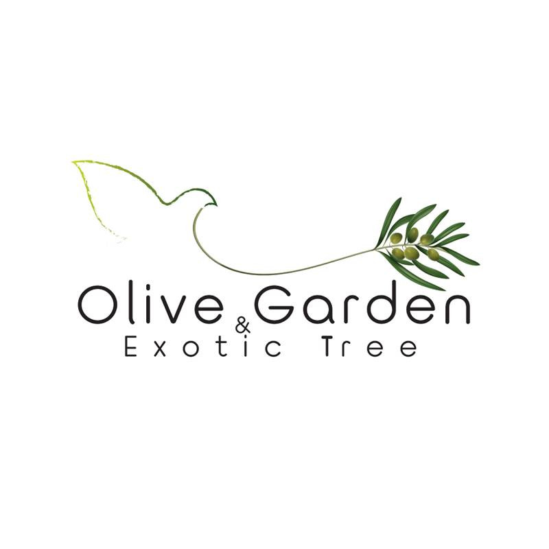 OLIVE GARDEN THAILAND