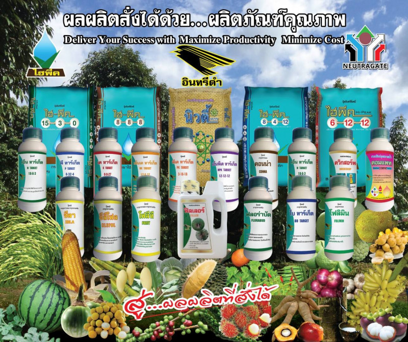 นิวทราเกท-หยาดน้ำฟ้า