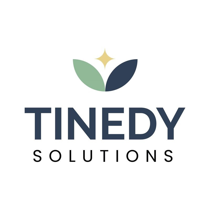 TINEDY SOLUTIONS