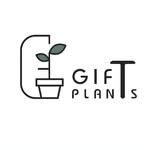 GIFT PLANTS
