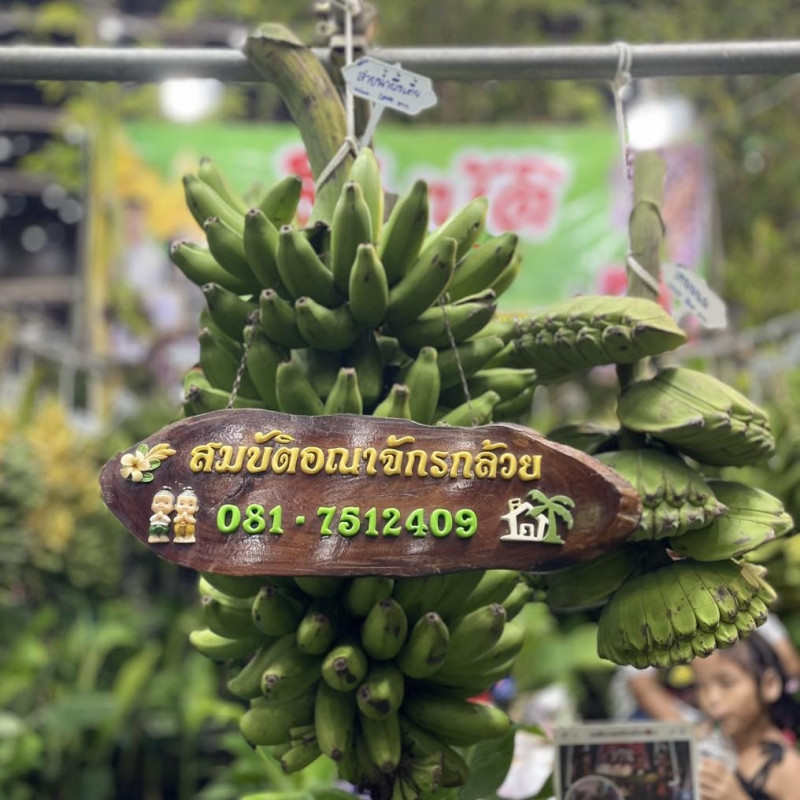 สมบัติ อาณาจักรกล้วย