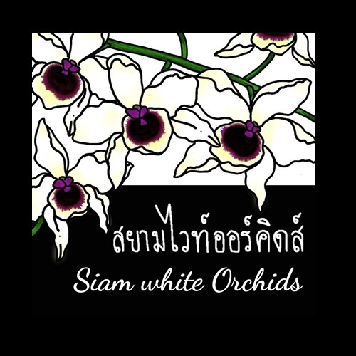 สยามไวท์ออร์คิด