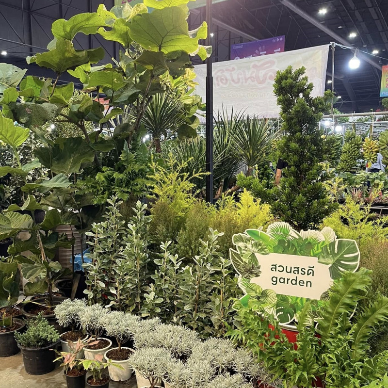 สรดี Garden