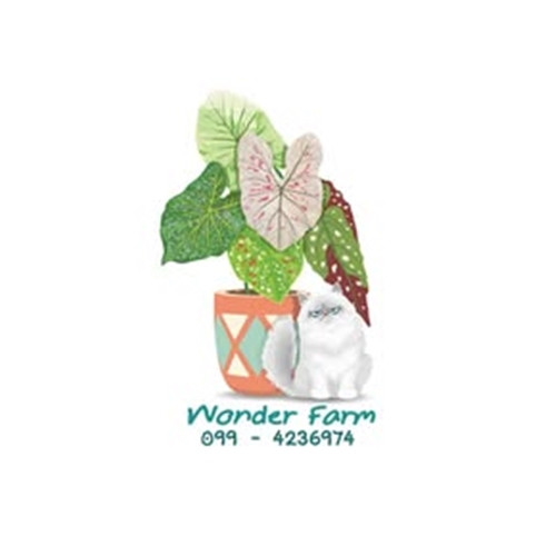 wonder farm
