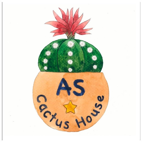 ร้าน As Cuctus House