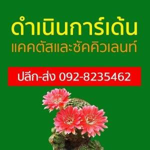 ร้าน ดำเนินการ์เด้น