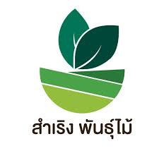 สำเริง พันธุ์ไม้