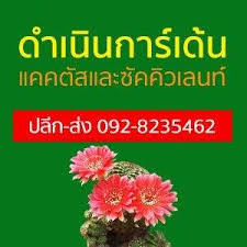 ร้าน ดำเนินการ์เด้น