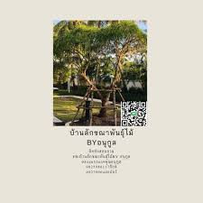 บ้านลักขณา พันธุ์ไม้