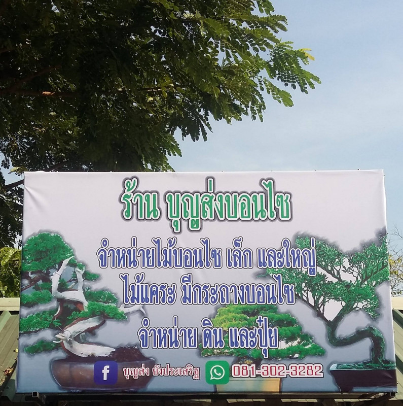 บุญส่งบอนไซ