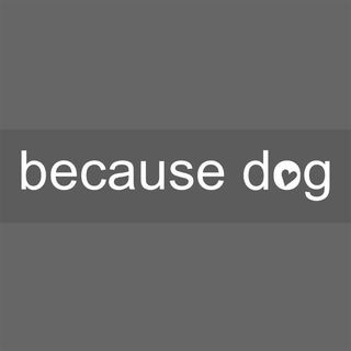 because dog