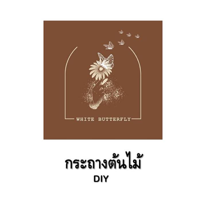 กระถาง Butterfly