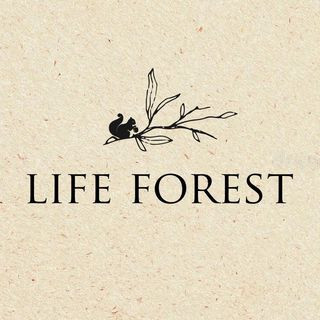 ร้าน Lifeforest studio
