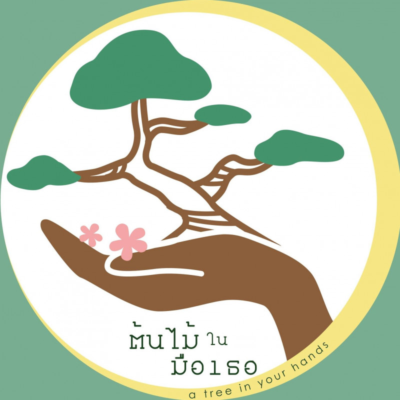 A tree in your hands