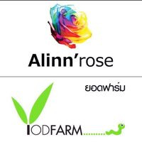 Alinn'Rose