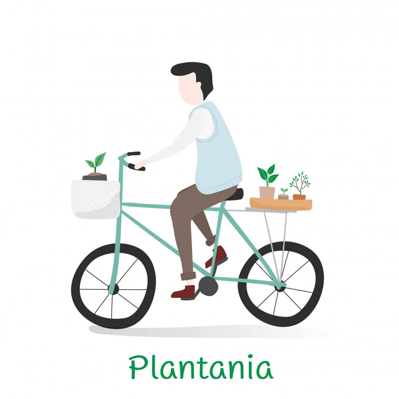 Plantania