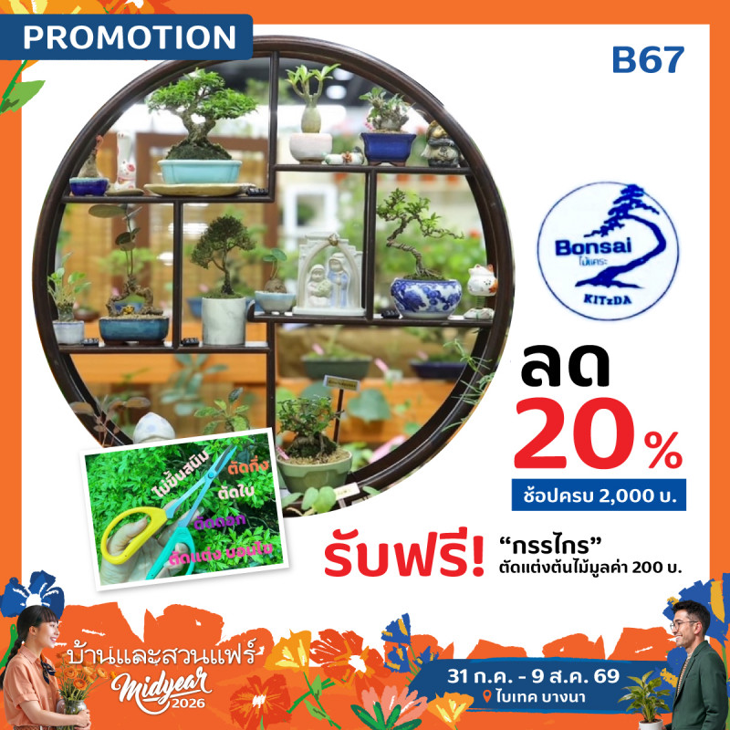 bonsai-bsmy26.jpg