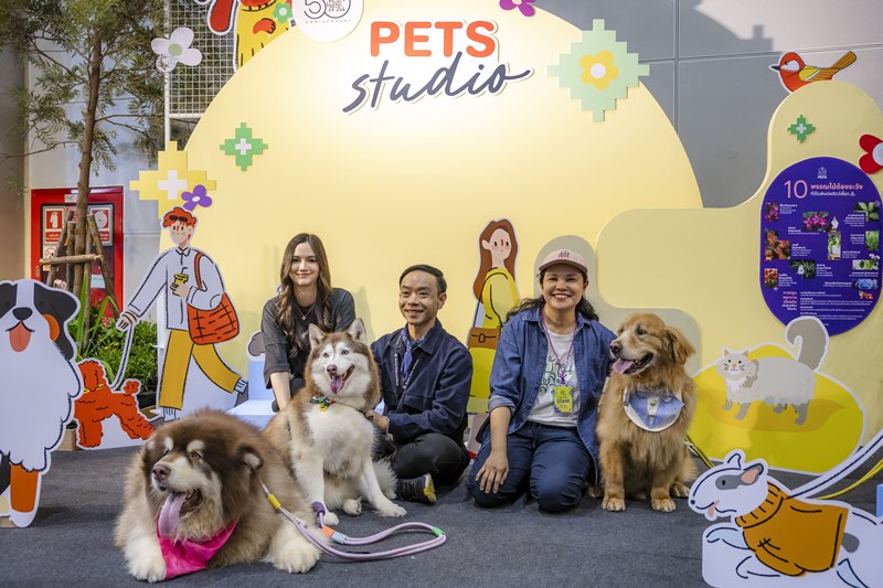 Pets