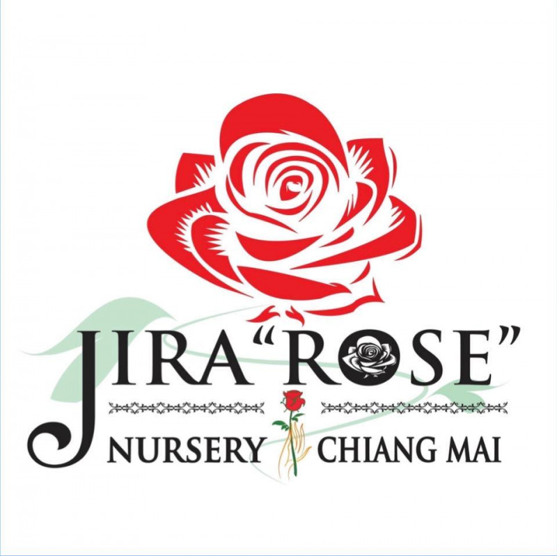 ร้าน จีระ โรส เนิสเซอรี่