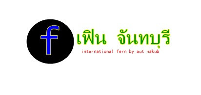 เฟิร์นจันทบุรี