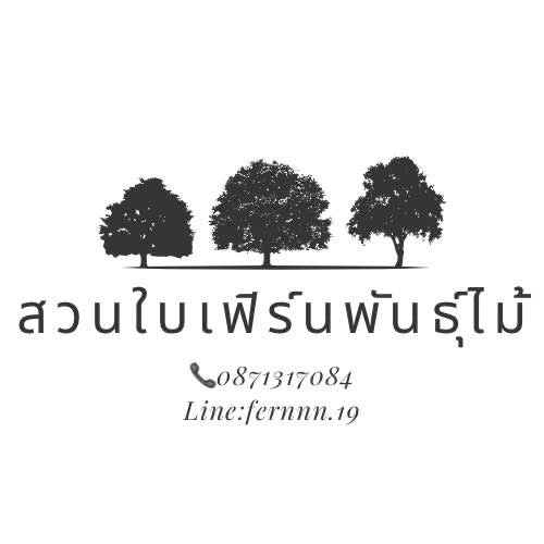 สวนใบเฟิร์นพันธุ์ไม้