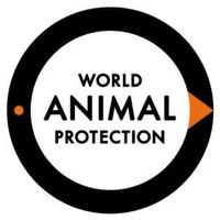 1.Soi Dog 2. world animal protection