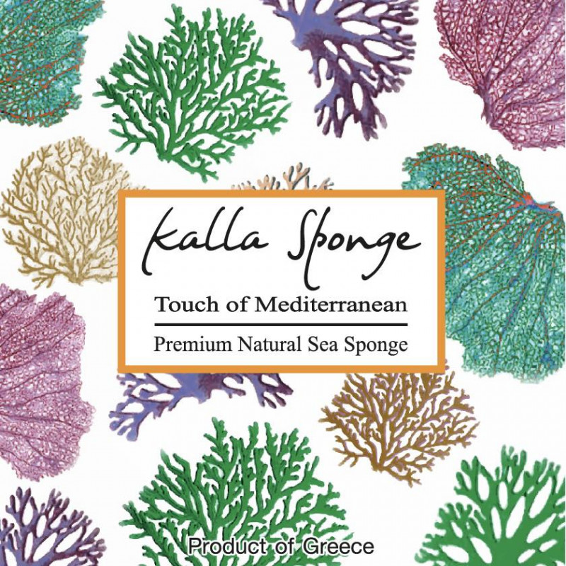 Baby Nature Care / Kalla Sponge