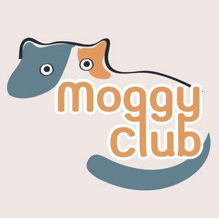 Moggy Club