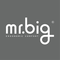 mr.big