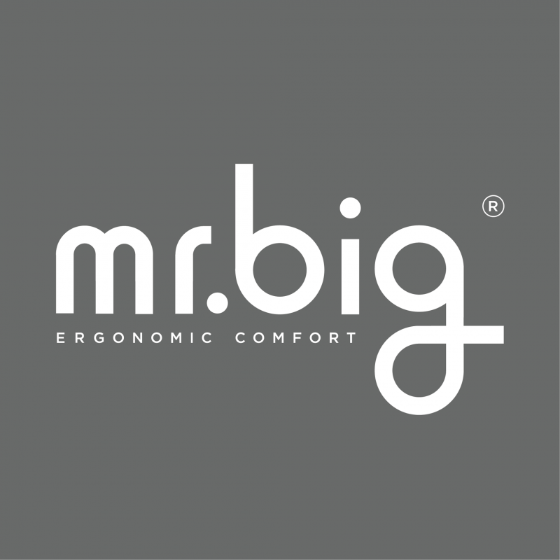 mr.big