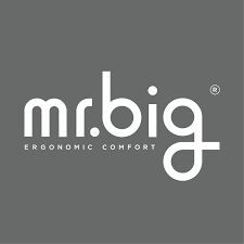mr.big pillow
