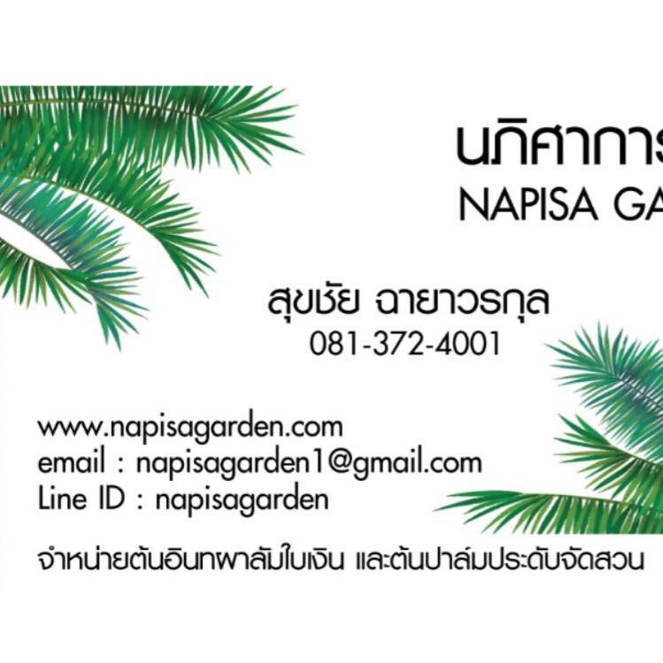 NAPISA GARDEN