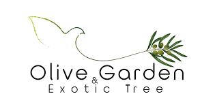 Olive Garden Thailand