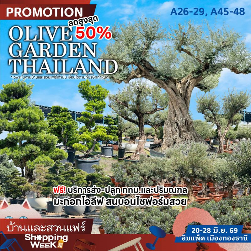 olive_garden_thailand_1.jpg