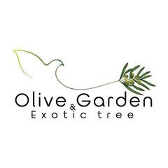 Olivegarden Thailand