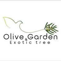 Olivegarden Thailand