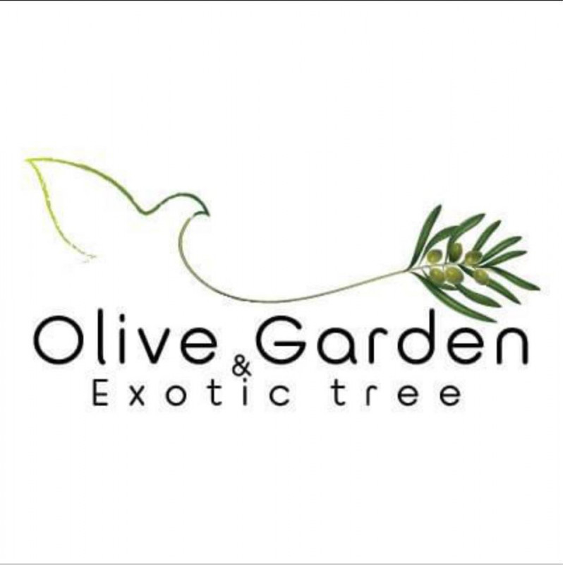 Olive Garden Thailand