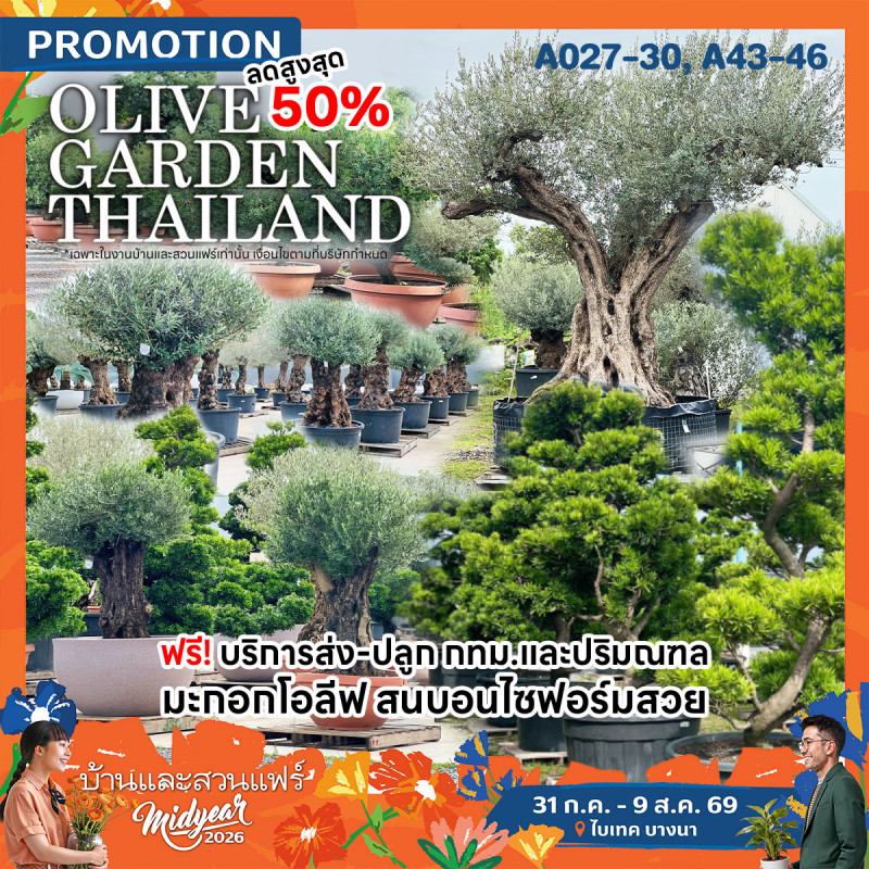 olivegardenth_1.jpg
