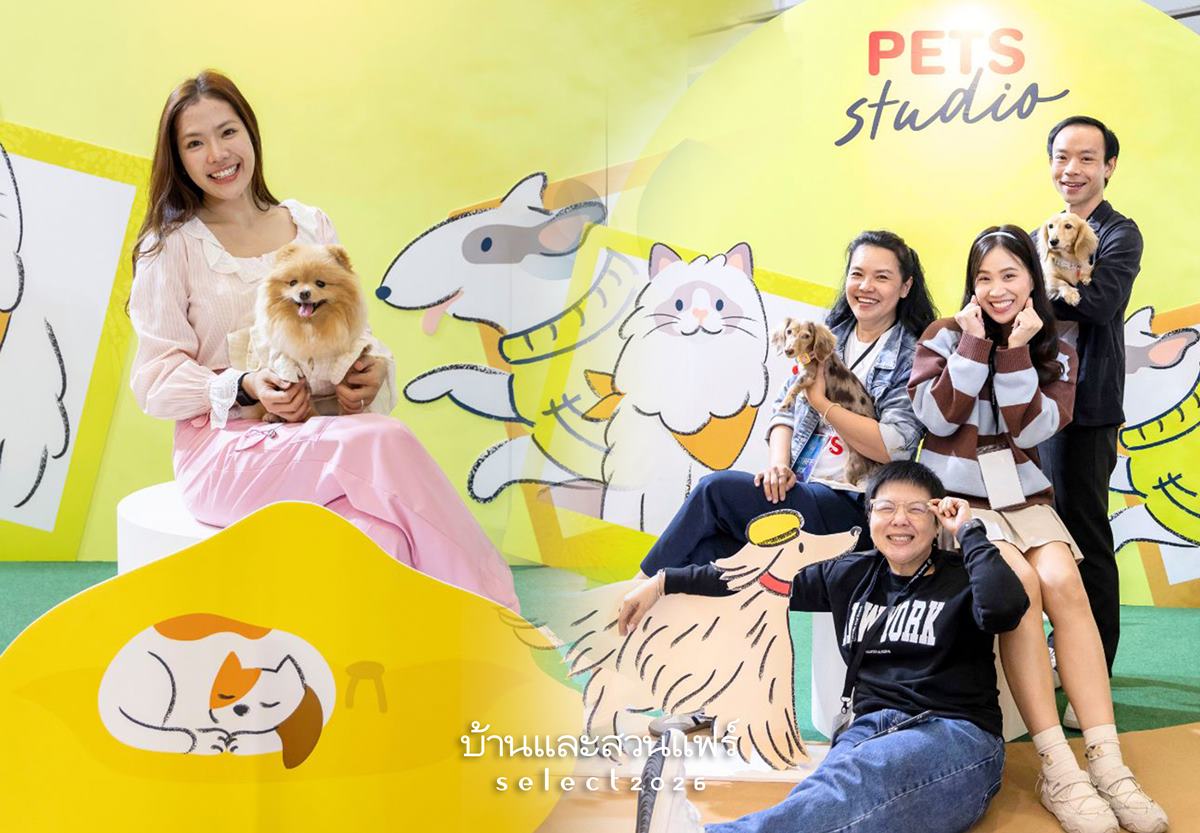 Pets