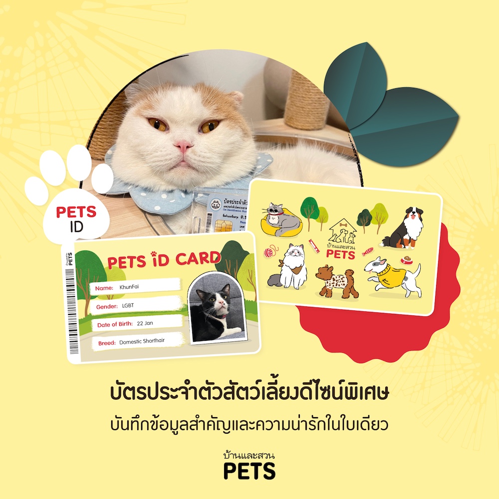 pets_lounge_photoserie_edit5feb2_2.jpg
