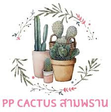 PP cactus